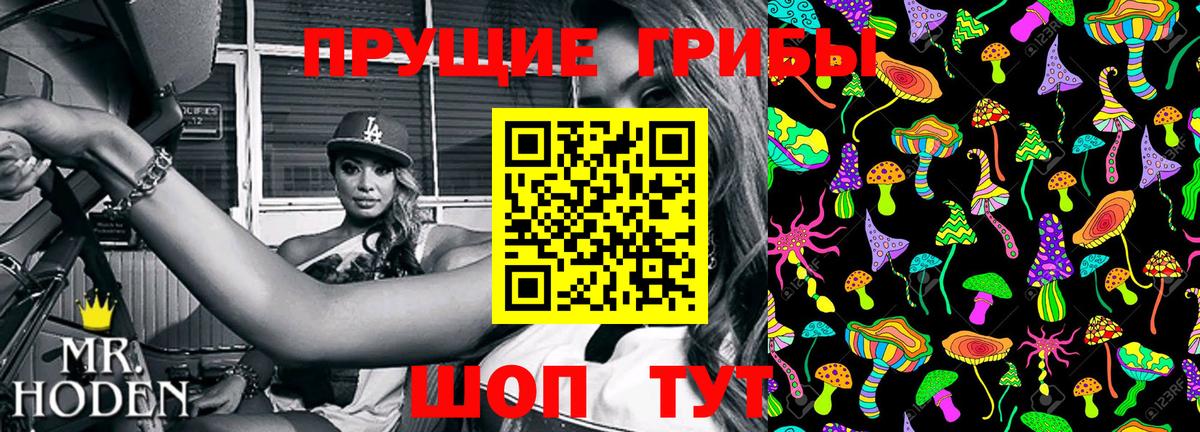 где купить наркоту  Вход с VPN  Саранск  Псилоцибиновые грибы мухоморы 