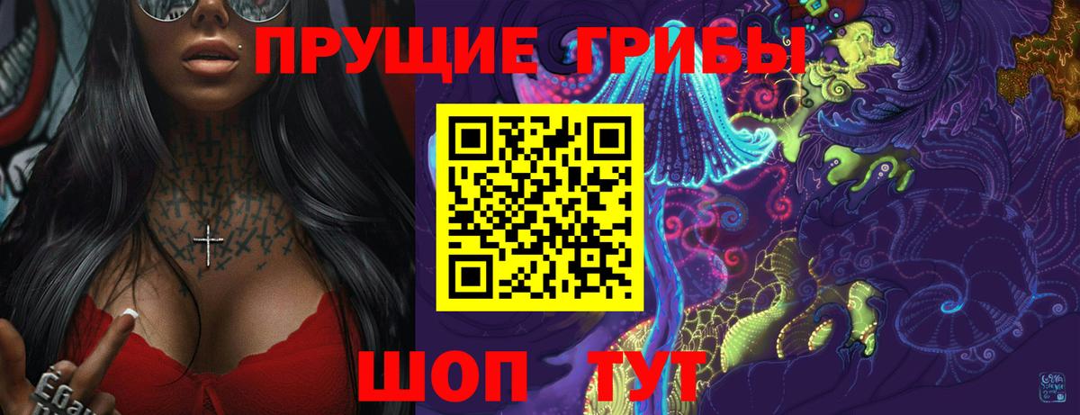 Галлюциногенные грибы Psilocybe Саранск